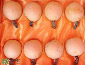 糖尿病能吃枇杷嗎？糖尿病人能吃枇杷嗎？