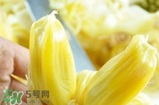 菠蘿蜜怎么吃？菠蘿蜜好吃嗎？