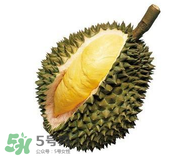 榴蓮可以和酸奶一起吃嗎？吃榴蓮喝酸奶會(huì)中毒嗎？