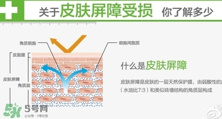 玉澤和至本哪個(gè)好？玉澤和至本區(qū)別對(duì)比