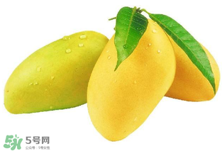 芒果哪里的最好吃？芒果哪種品種好吃？