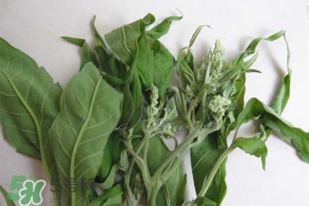 艾草可以治痛經(jīng)嗎？艾草能治月經(jīng)不調(diào)嗎？