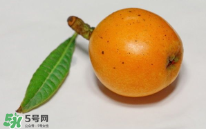 枇杷可以和蔥一起煮嗎？蔥和枇杷葉一起煮可以喝嗎？