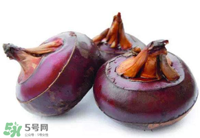 枇杷可以和荸薺一起煮水嗎？枇杷和荸薺能一起吃嗎？