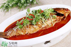 枇杷和魚能一起吃嗎？吃完魚可以吃枇杷嗎？