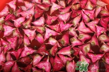 3月份的菱角可以吃嗎？菱角什么時候吃最好？