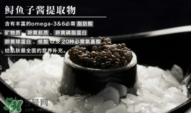 至本是什么牌子？至本什么檔次？