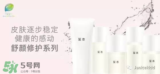 至本是什么牌子？至本什么檔次？