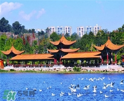 4月份去昆明穿什么？四月份去昆明穿什么衣服？