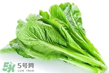 春菜為什么會(huì)苦？春菜發(fā)苦能吃嗎？