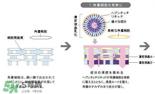 pola極光精華怎么用？pola極光精華使用方法