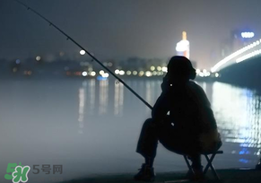 春分能夜釣嗎？春分能釣鯉魚(yú)嗎？