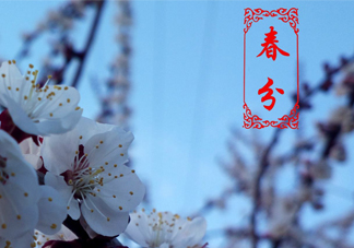 春菜為什么會苦？春菜發(fā)苦能吃嗎？