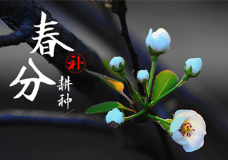 春分吃春菜有什么好處？春菜有什么營養(yǎng)價值？