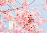 春分吃什么？春分吃什么會更加健康？