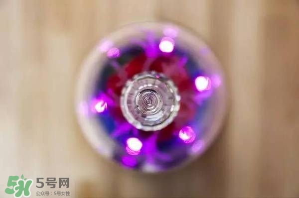 camino美女與野獸音響多少錢？camino玫瑰藍牙音箱價格