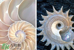 珍珠貝母表盤好嗎？珍珠貝母表盤耐用嗎？