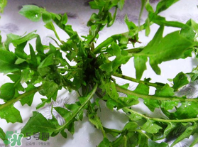 春天吃薺菜好嗎？春天吃薺菜有什么好處？