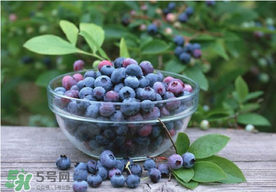 藍(lán)莓一天吃多少為宜？藍(lán)莓每天吃多少合適？
