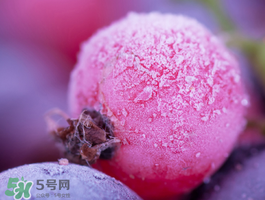 藍(lán)莓變紅可以吃嗎？藍(lán)莓發(fā)紅是壞掉了嘛？