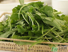 薺菜有毒嗎？吃薺菜會中毒嗎？
