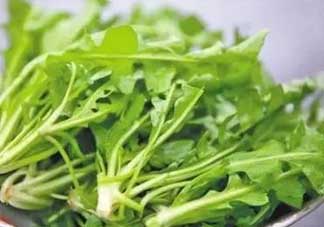 便秘能吃薺菜嗎？便秘可以吃薺菜嗎？