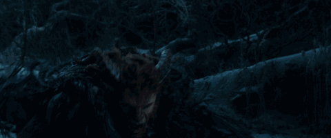 野獸派美女與野獸水晶球多少錢？野獸派音樂水晶球價(jià)格