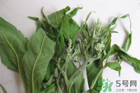 艾草可以泡腳嗎？艾葉泡腳的功效與作用