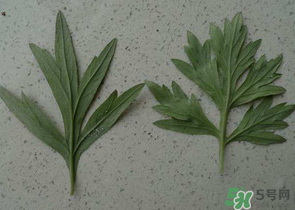 ?蒿子怎么去除苦味？?蒿子粑粑苦是什么原因？