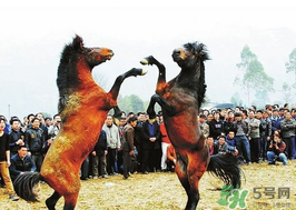 三月三有什么禁忌？三月三有什么講究？