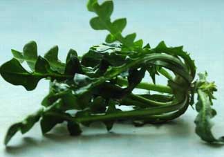 乙肝能吃薺菜嗎？乙肝病人可以吃薺菜嗎？