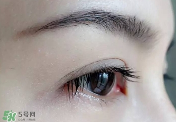 serge lutens蘆丹氏睫毛膏怎么樣？蘆丹氏睫毛膏好不好用？