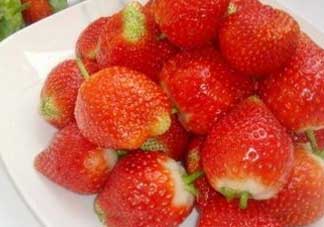 草莓和菠蘿可以一起吃嗎？草莓和菠蘿能一起吃嗎？