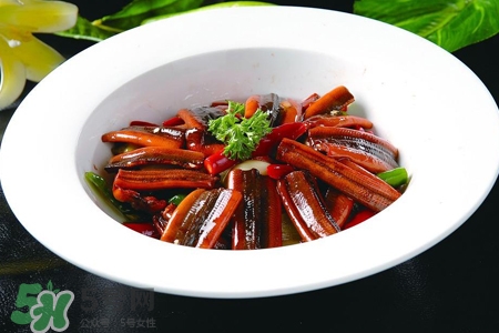 黃鱔是什么？黃鱔是魚嗎？