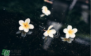三月份為什么一直下雨？2017年三月份為什么雨多？