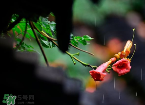 2017年梅雨季節(jié)是幾月？2017年梅雨季節(jié)是什么時候？