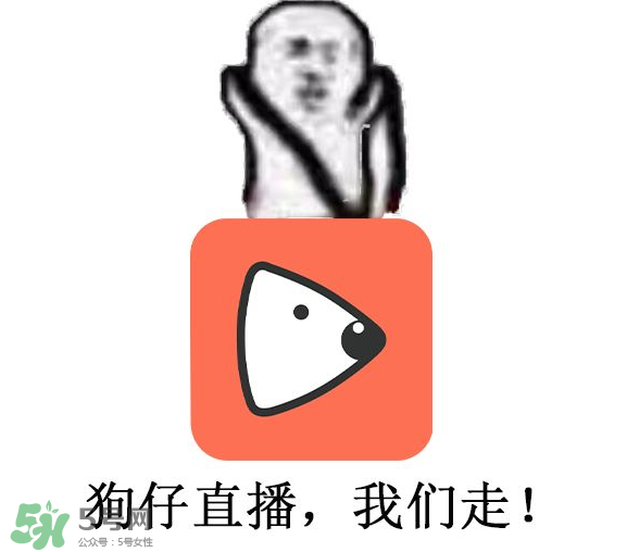 黃鱔為什么火了？黃鱔我們走為什么火了？