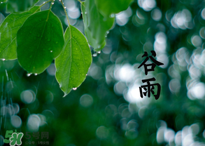 2017年谷雨是幾月幾號(hào)？2017年谷雨是哪一天？