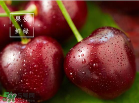 美早櫻桃多少錢一斤？美早櫻桃多少錢一斤2017？