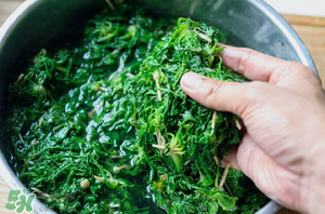 薺菜怎么腌制？薺菜的腌制方法