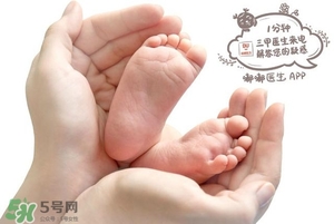mini Melissa童鞋尺碼詳情 mini Melissa尺碼表對照