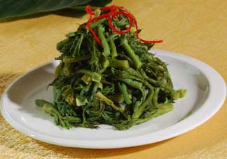 蕨菜什么人不能吃？哪些人不能吃蕨菜？
