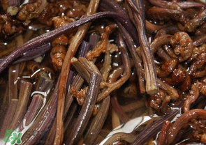 蕨菜能吃嗎？蕨菜可以吃嗎？