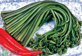 蕨菜有毒嗎？吃蕨菜會中毒嗎？
