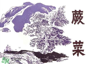 吃蕨菜會過敏嗎？皮膚過敏能吃蕨菜嗎？