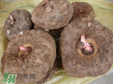 魔芋什么味道？怎么去除魔芋味道？