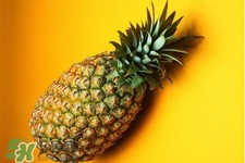 過(guò)敏性鼻炎可以吃菠蘿嗎？過(guò)敏性鼻炎能不能吃菠蘿？