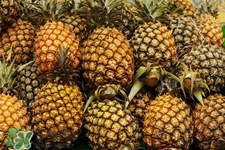 過(guò)敏性鼻炎可以吃菠蘿嗎？過(guò)敏性鼻炎能不能吃菠蘿？