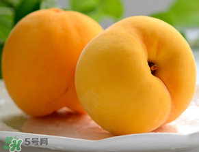 黃桃為什么那么貴？黃桃為什么這么貴？