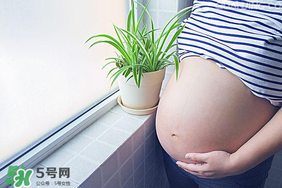 孕婦可以做美甲嗎？美甲對孕婦有什么影響？